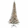 Best reviews of 🧨 7.5ft. Pre-Lit Flocked Artificial Pencil 🔔 Christmas Tree, Clear Lights by SantasWorkshop 🤩