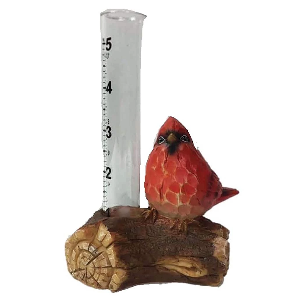 Top 10 โ๏ธ Santa's Workshop 6" Cardinal Rain Gauge by SantasWorkshop โ